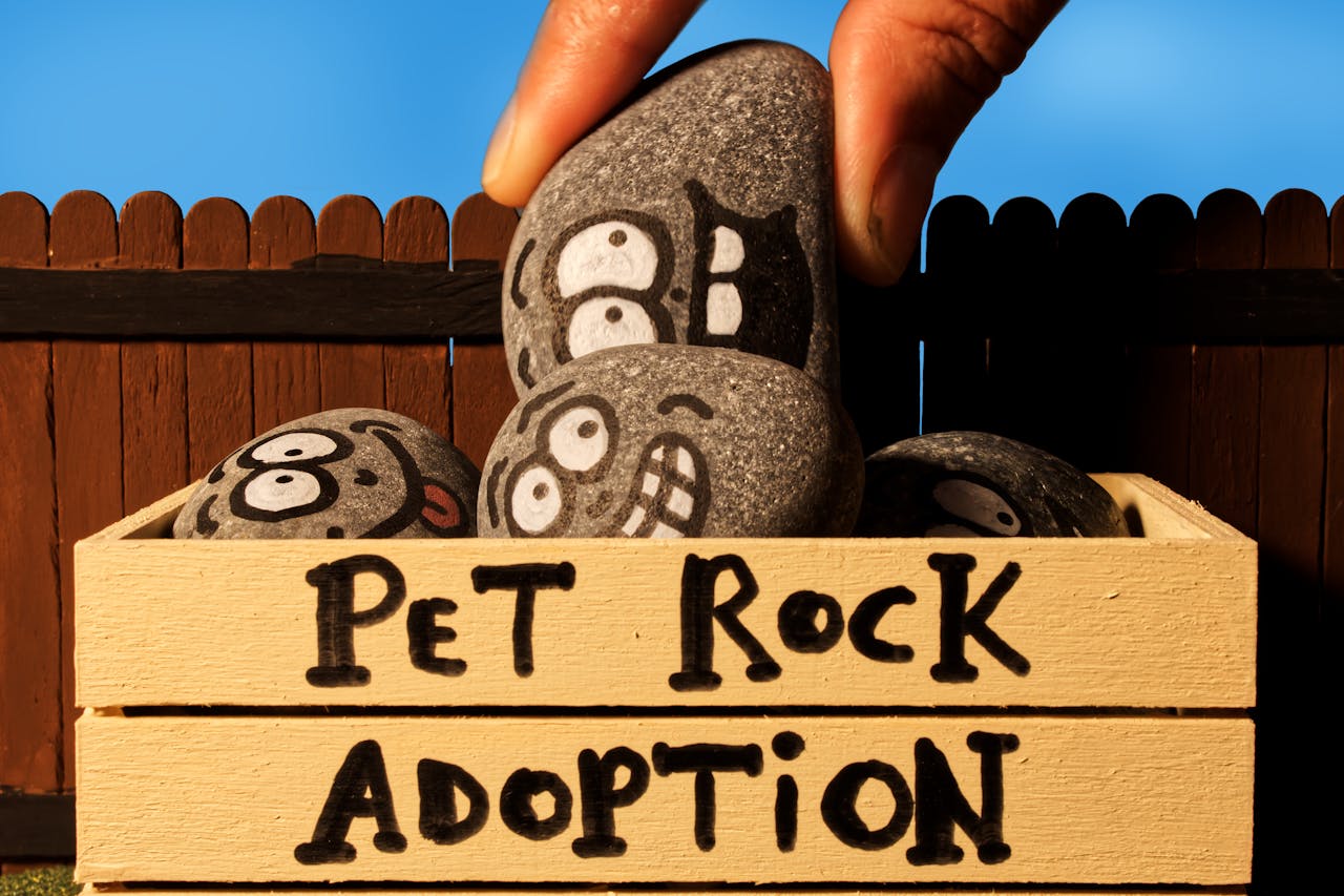 Amusing image of pet rocks in a wooden box, simulating adoption scene with painted faces.